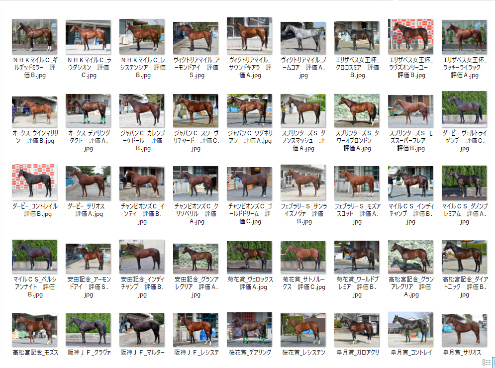 Stored Horse Image