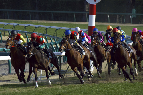 Rvestでyahoo競馬にある過去のレース結果をクローリングしてみた 東京の資産運用会社で働く社会人が研究に没頭するブログ