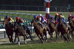 rvestでyahoo競馬にある過去のレース結果をクローリングしてみた